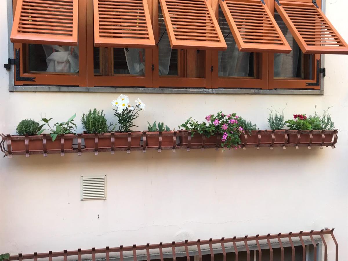 Апартаменты La Casa Fra Gli Ulivi Леричи Экстерьер фото